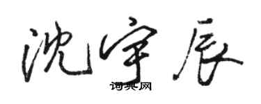 骆恒光沈宇辰行书个性签名怎么写
