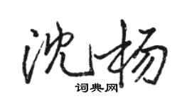 骆恒光沈杨行书个性签名怎么写
