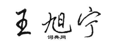 骆恒光王旭宁行书个性签名怎么写
