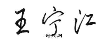 骆恒光王宁江行书个性签名怎么写