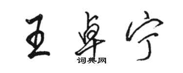 骆恒光王卓宁行书个性签名怎么写