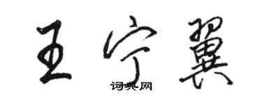 骆恒光王宁翼行书个性签名怎么写