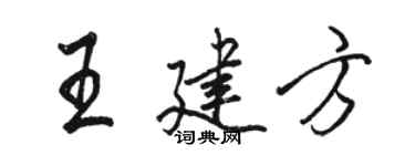 骆恒光王建方行书个性签名怎么写