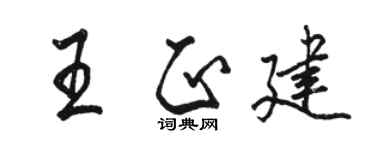 骆恒光王正建行书个性签名怎么写