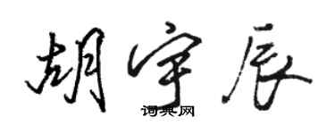 骆恒光胡宇辰行书个性签名怎么写