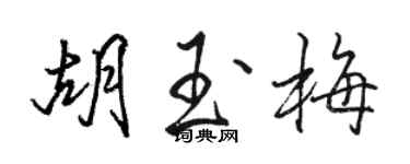 骆恒光胡玉梅行书个性签名怎么写
