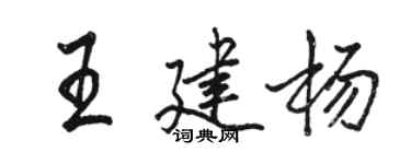 骆恒光王建杨行书个性签名怎么写
