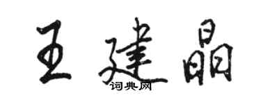 骆恒光王建晶行书个性签名怎么写