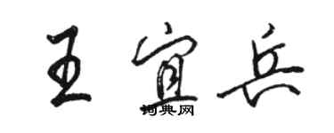 骆恒光王宜兵行书个性签名怎么写