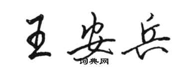 骆恒光王安兵行书个性签名怎么写