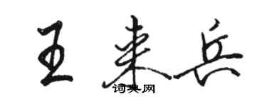 骆恒光王来兵行书个性签名怎么写