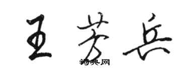 骆恒光王芳兵行书个性签名怎么写