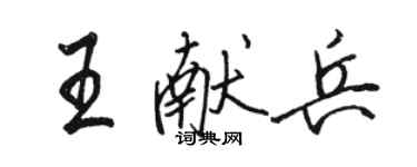 骆恒光王献兵行书个性签名怎么写