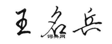 骆恒光王名兵行书个性签名怎么写
