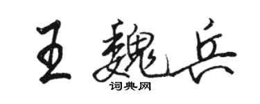 骆恒光王魏兵行书个性签名怎么写
