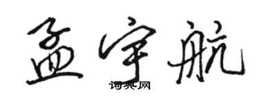 骆恒光孟宇航行书个性签名怎么写