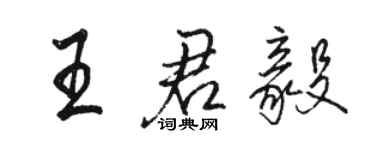 骆恒光王君毅行书个性签名怎么写