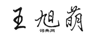 骆恒光王旭萌行书个性签名怎么写