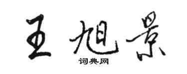 骆恒光王旭景行书个性签名怎么写