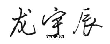 骆恒光龙宇辰行书个性签名怎么写