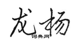 骆恒光龙杨行书个性签名怎么写
