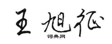骆恒光王旭征行书个性签名怎么写
