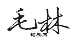 骆恒光毛林行书个性签名怎么写
