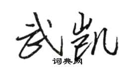 骆恒光武凯行书个性签名怎么写