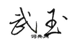 骆恒光武玉行书个性签名怎么写