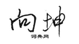 骆恒光向坤行书个性签名怎么写