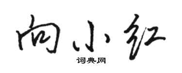 骆恒光向小红行书个性签名怎么写