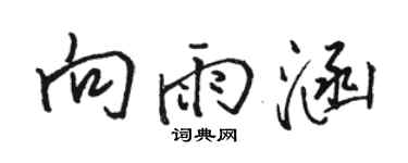骆恒光向雨涵行书个性签名怎么写