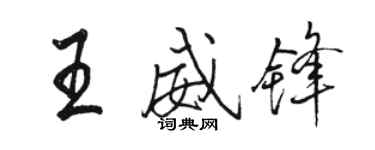 骆恒光王威锋行书个性签名怎么写