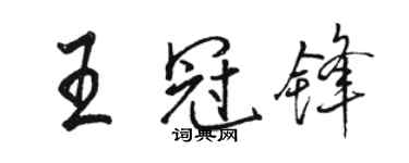 骆恒光王冠锋行书个性签名怎么写