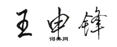 骆恒光王申锋行书个性签名怎么写