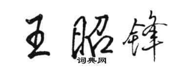 骆恒光王昭锋行书个性签名怎么写