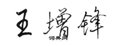 骆恒光王增锋行书个性签名怎么写