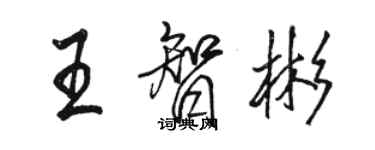 骆恒光王智彬行书个性签名怎么写