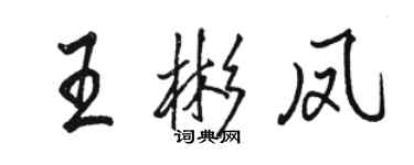 骆恒光王彬凤行书个性签名怎么写