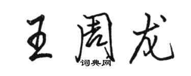 骆恒光王周龙行书个性签名怎么写