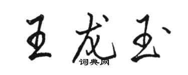 骆恒光王龙玉行书个性签名怎么写
