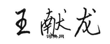 骆恒光王献龙行书个性签名怎么写