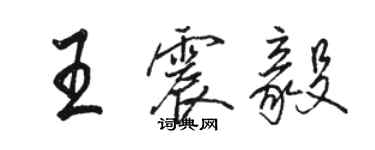 骆恒光王震毅行书个性签名怎么写