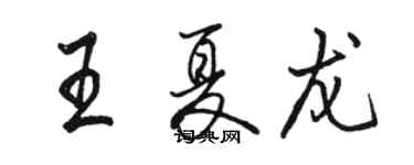 骆恒光王夏龙行书个性签名怎么写