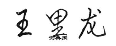 骆恒光王里龙行书个性签名怎么写