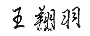 骆恒光王翔羽行书个性签名怎么写