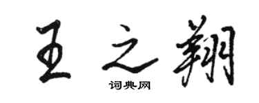 骆恒光王之翔行书个性签名怎么写