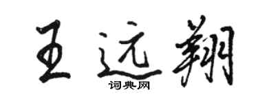 骆恒光王远翔行书个性签名怎么写