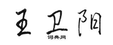 骆恒光王卫阳行书个性签名怎么写