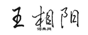 骆恒光王相阳行书个性签名怎么写